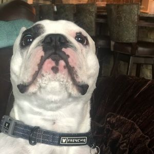 Meet your Posher, Kaitlyn